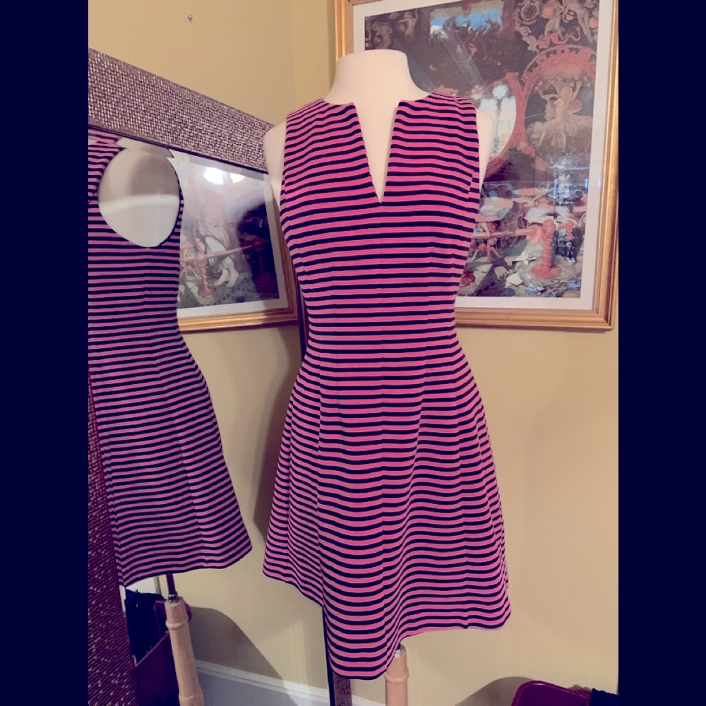 Lilly Pulitzer hot pink and navy striped dress. Size Large. Excellent condition